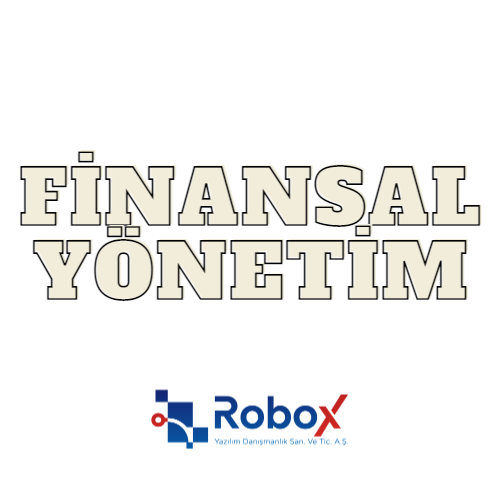 Mikro ERP Finansal Yönetim